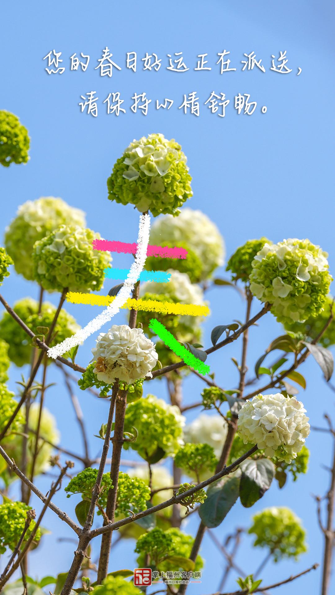 春分日，在福州找到了N个春日模样！