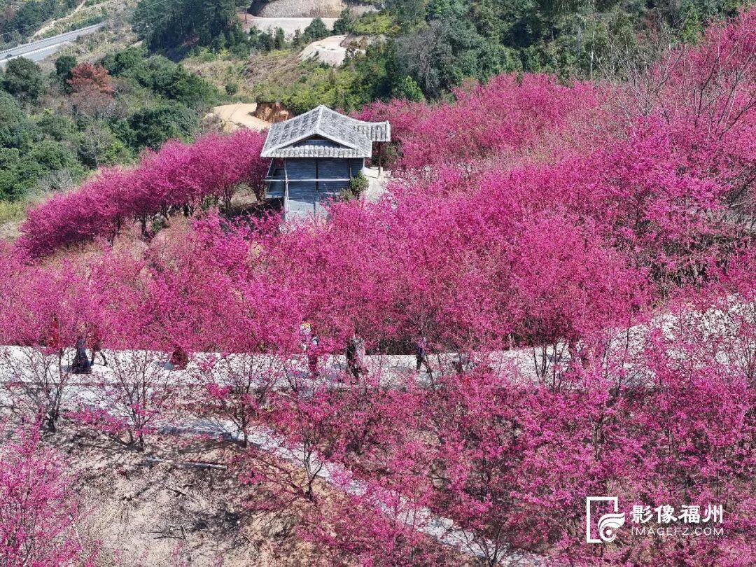 春分恰逢“龙抬头”，福州天气也要“龙抬头”，升温就在……