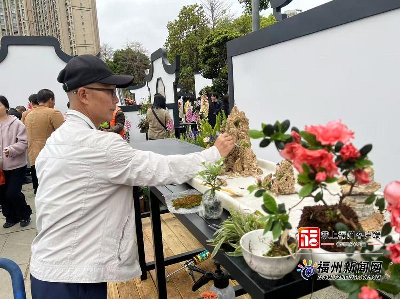 福州杜鹃花组合盆栽技能竞赛举行