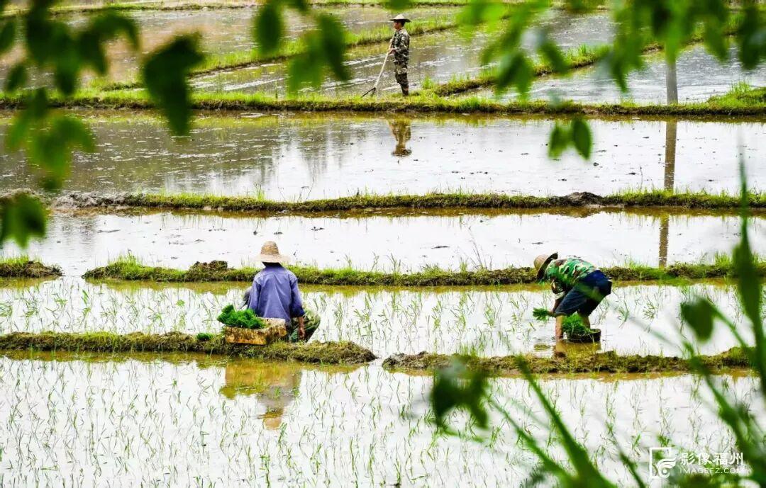 走！跟着诗词游春天里的福州