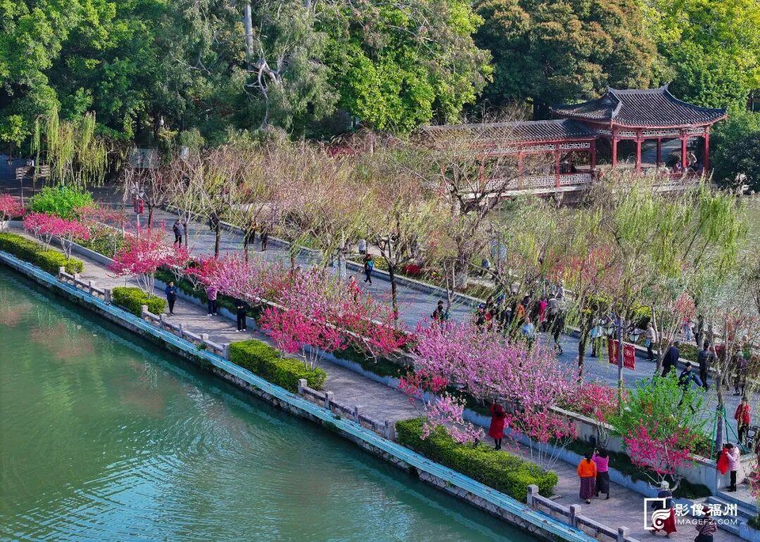 走！跟着诗词游春天里的福州
