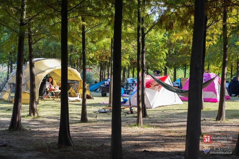 新消费｜榕城春色醉游人 “春日经济”暖意浓