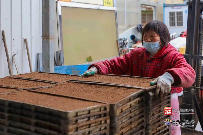 连江：春耕“科技范” 丰产底气足