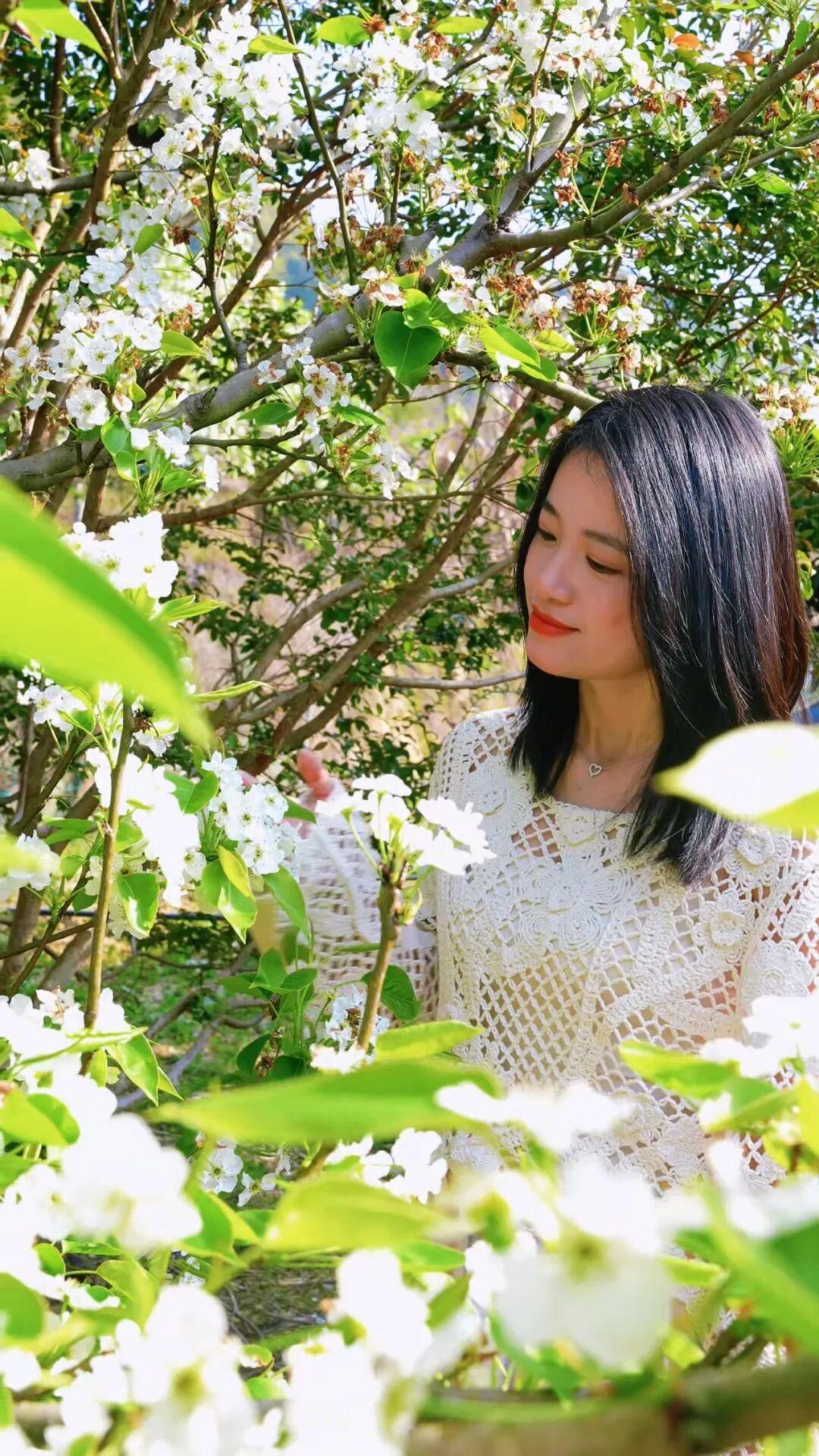 粉的、黄的、白的绽放！福州多地花开