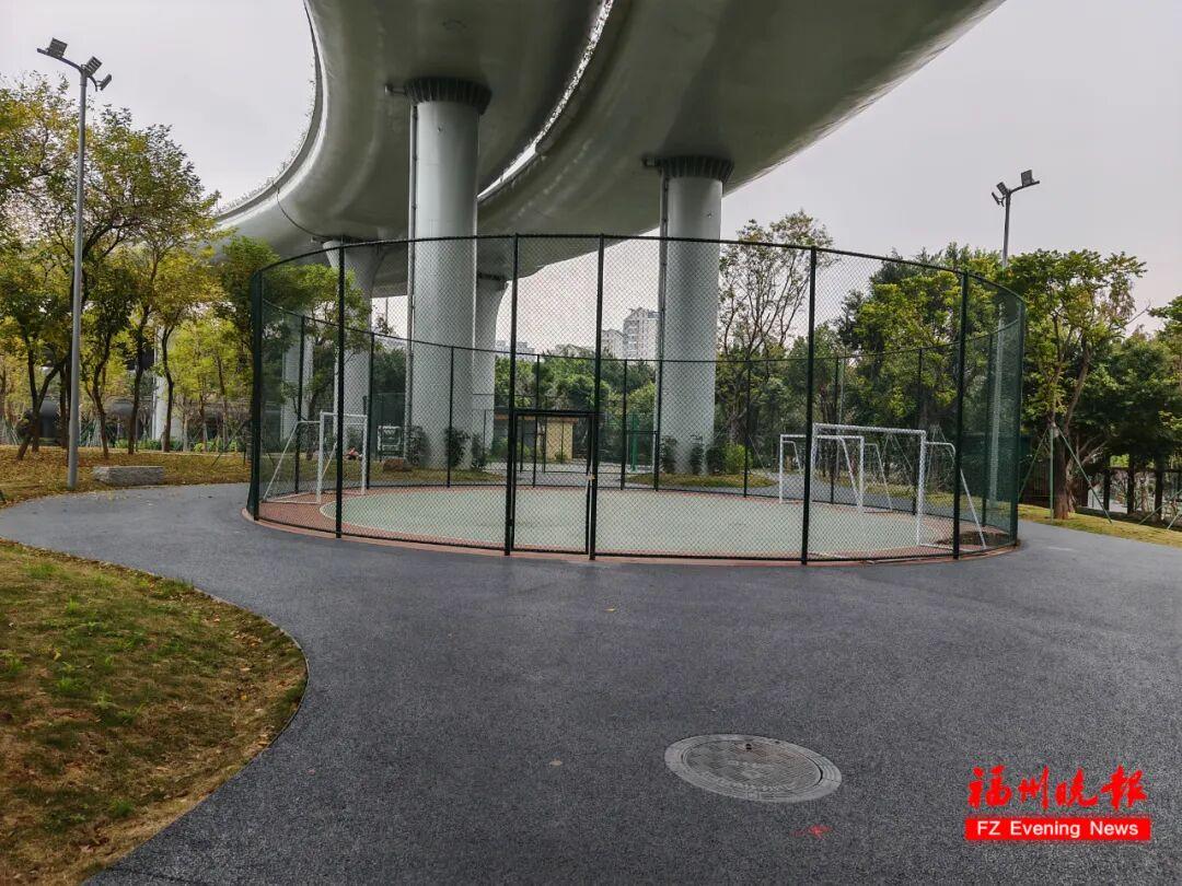 福州黄花风铃木公园，太美了！免费开放，很多人赶去打卡