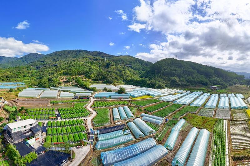 山海来讯｜真金白银投向哪？解码福州特色现代农业发展“新十条”