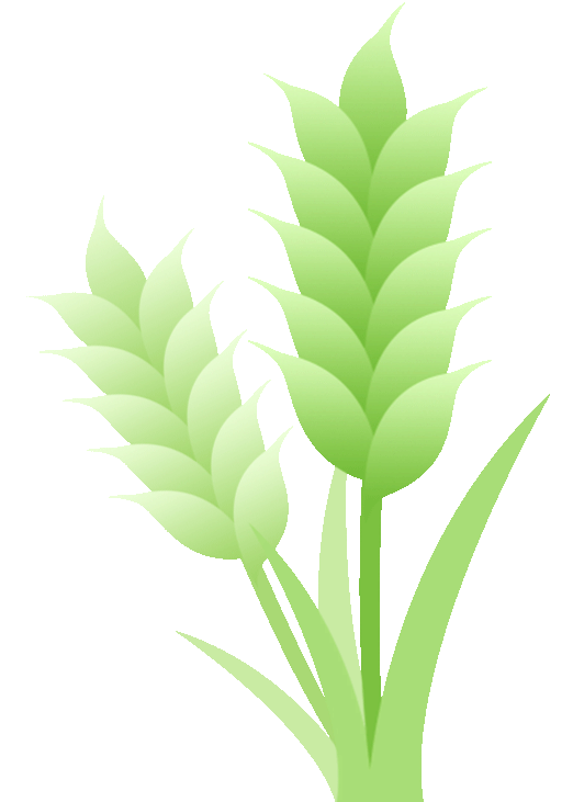 山海来讯｜真金白银投向哪？解码福州特色现代农业发展“新十条”