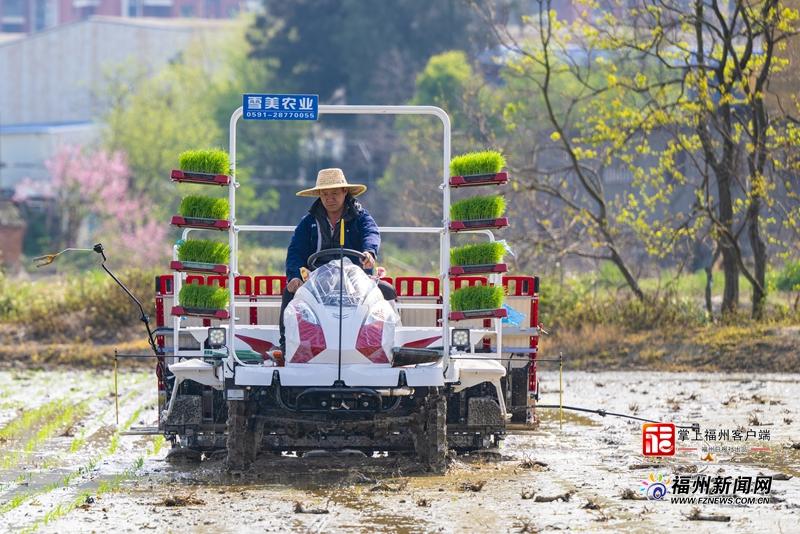 山海来讯｜真金白银投向哪？解码福州特色现代农业发展“新十条”