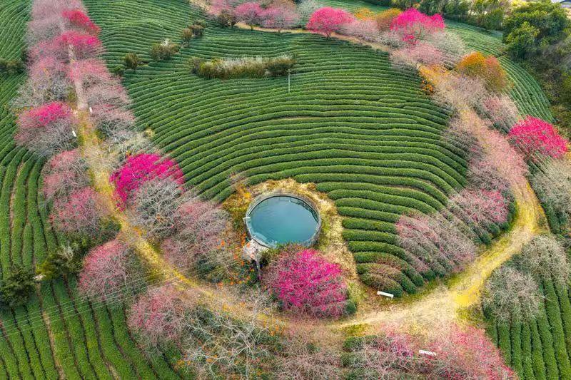 奋勇探新路 闽台亲上亲