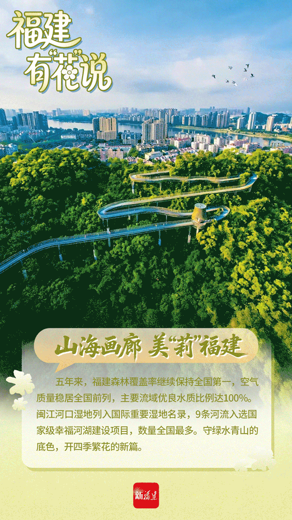 这个春天，福建有“花”说