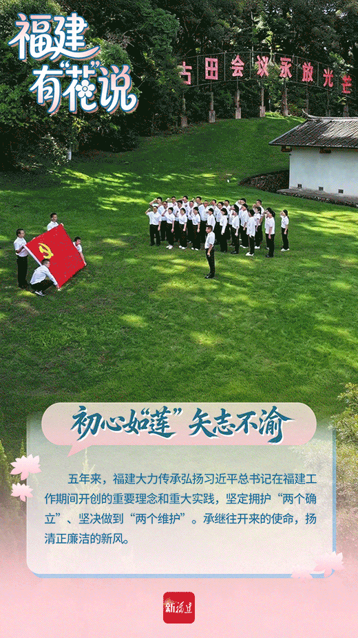 这个春天，福建有“花”说