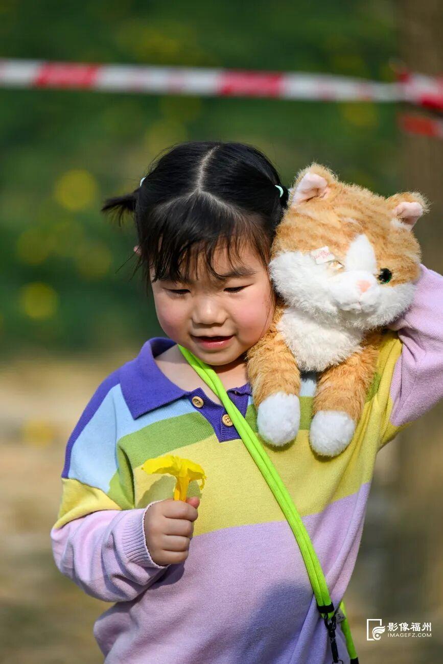 满树金黄！福州这座网红公园火了！