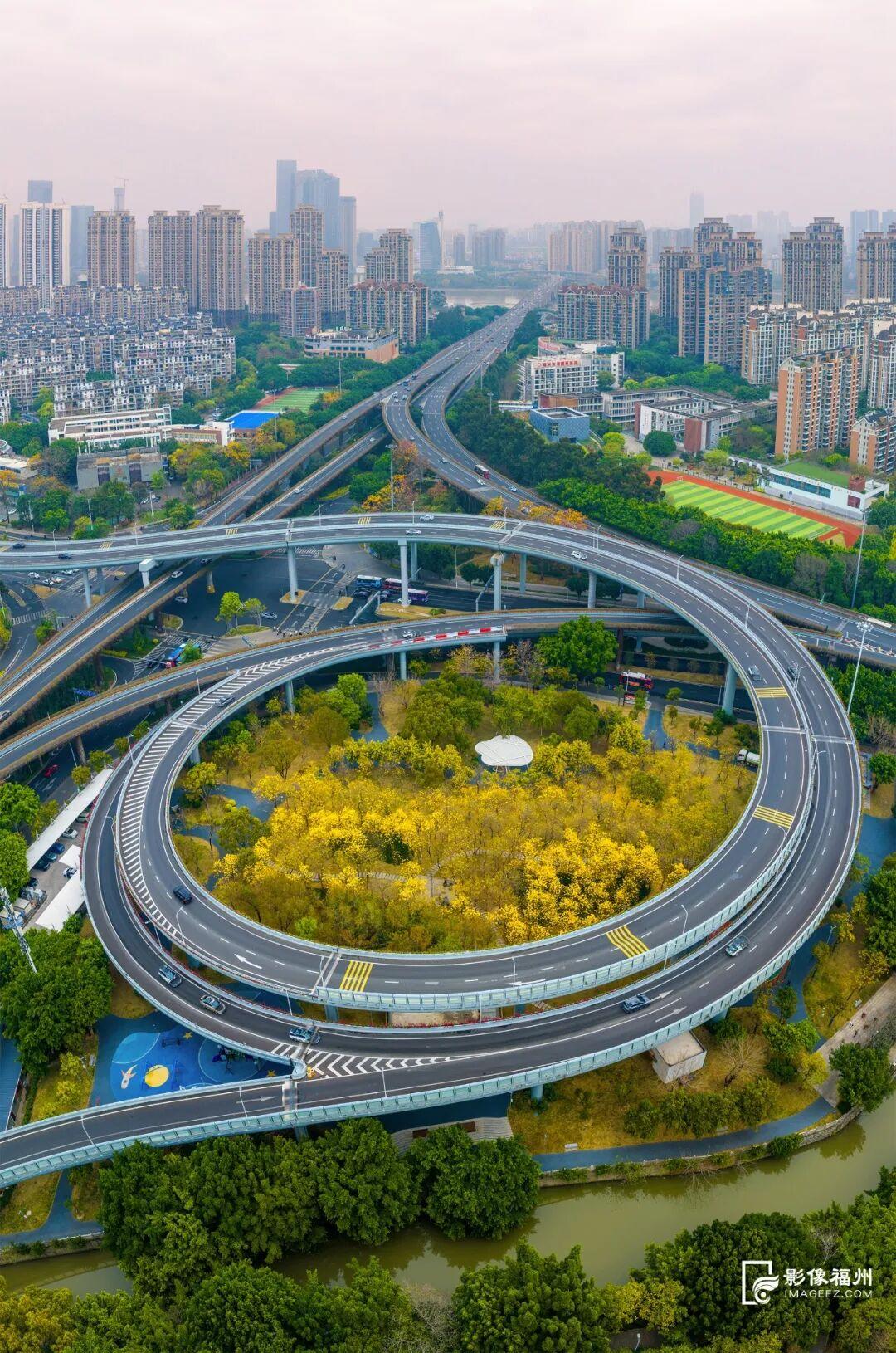 满树金黄！福州这座网红公园火了！