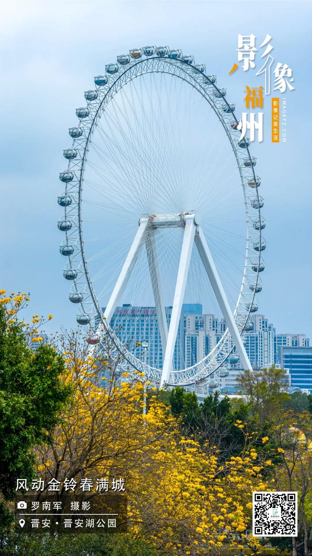 影像福州丨风动金铃春满城