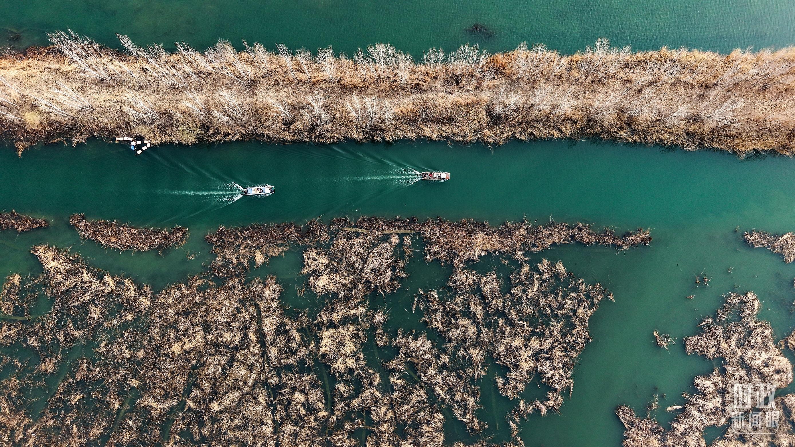 时政新闻眼丨第四次到雄安，习近平为“千年大计”作出重要部署