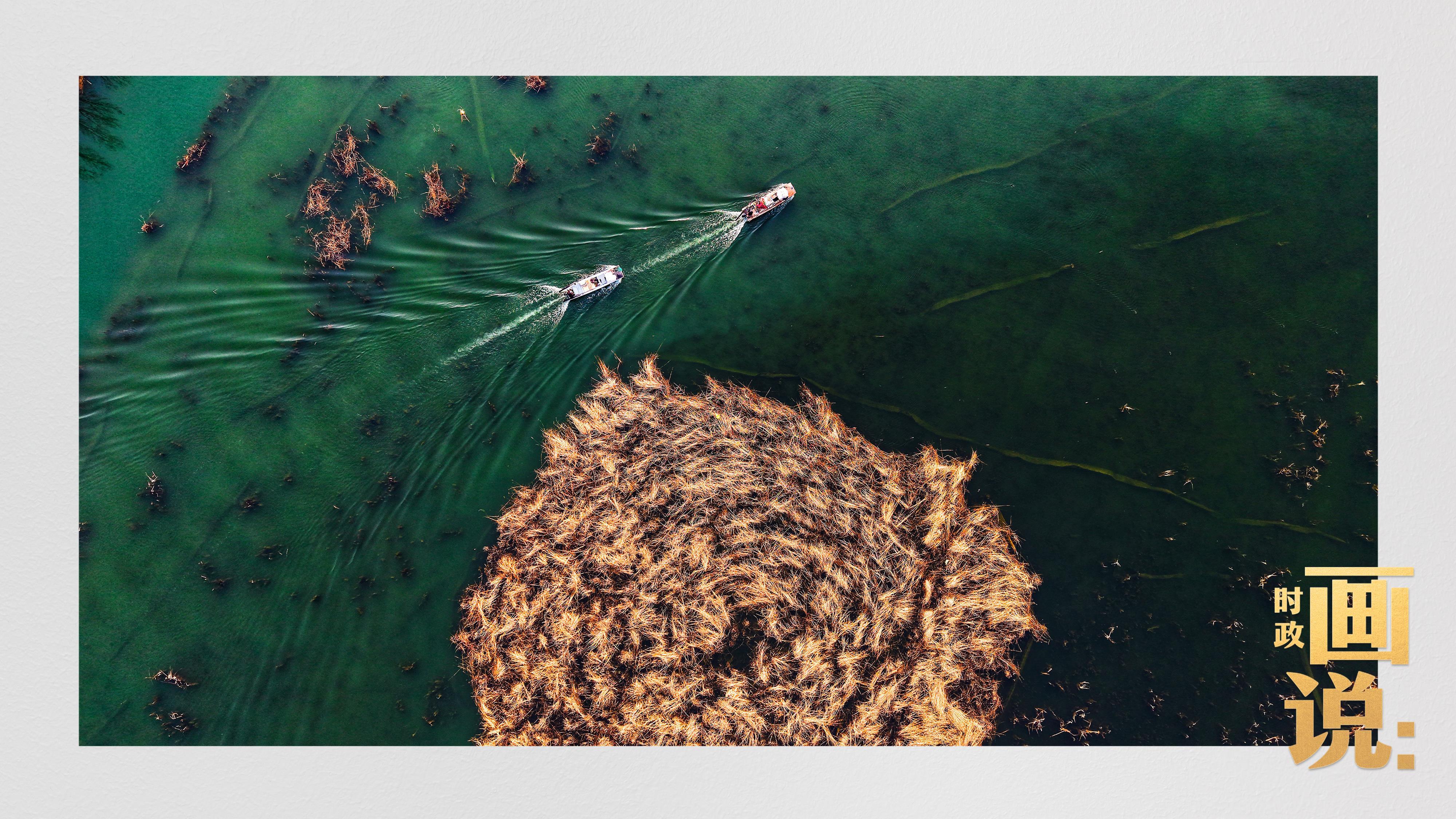 时政画说丨春之计