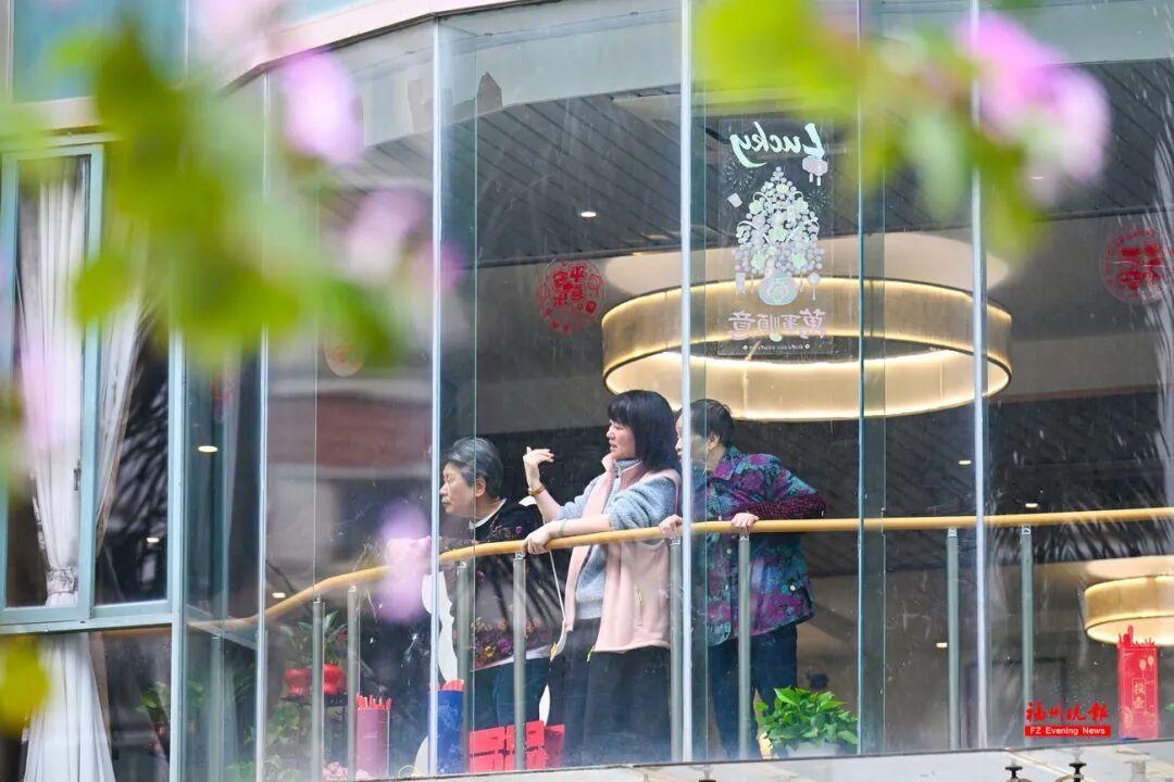 美美美！福州这些地方羊蹄甲开了！快去打卡