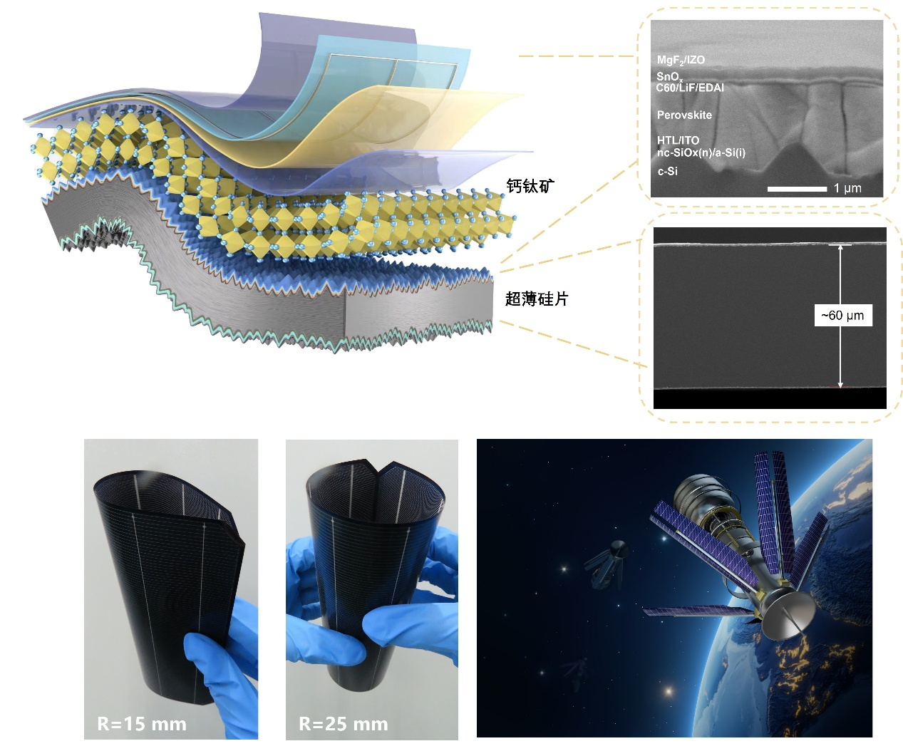 2025年度“中国科学十大进展”发布