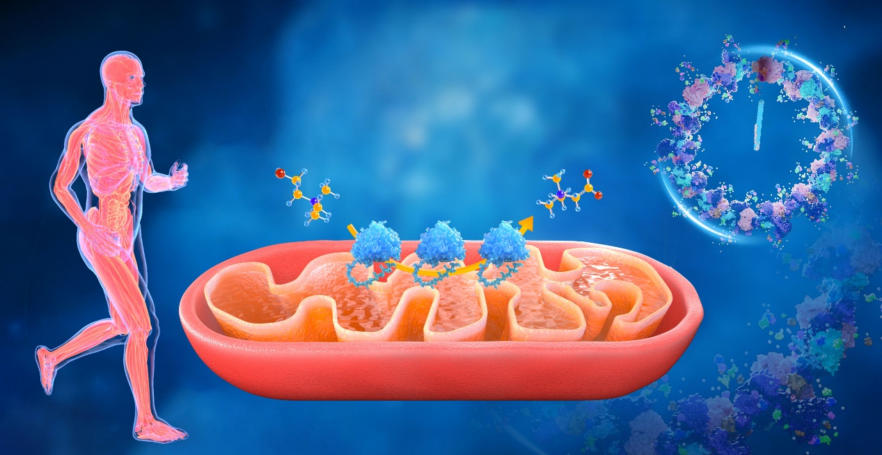 2025年度“中国科学十大进展”发布