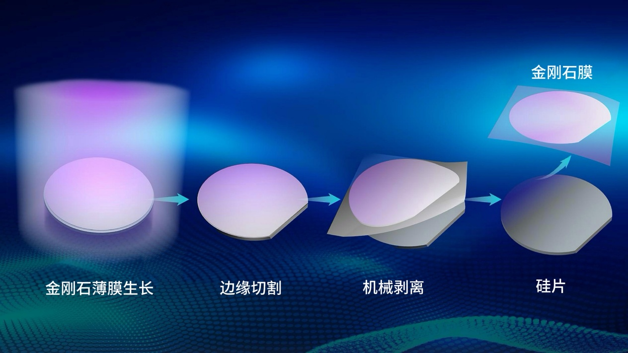 2025年度“中国科学十大进展”发布