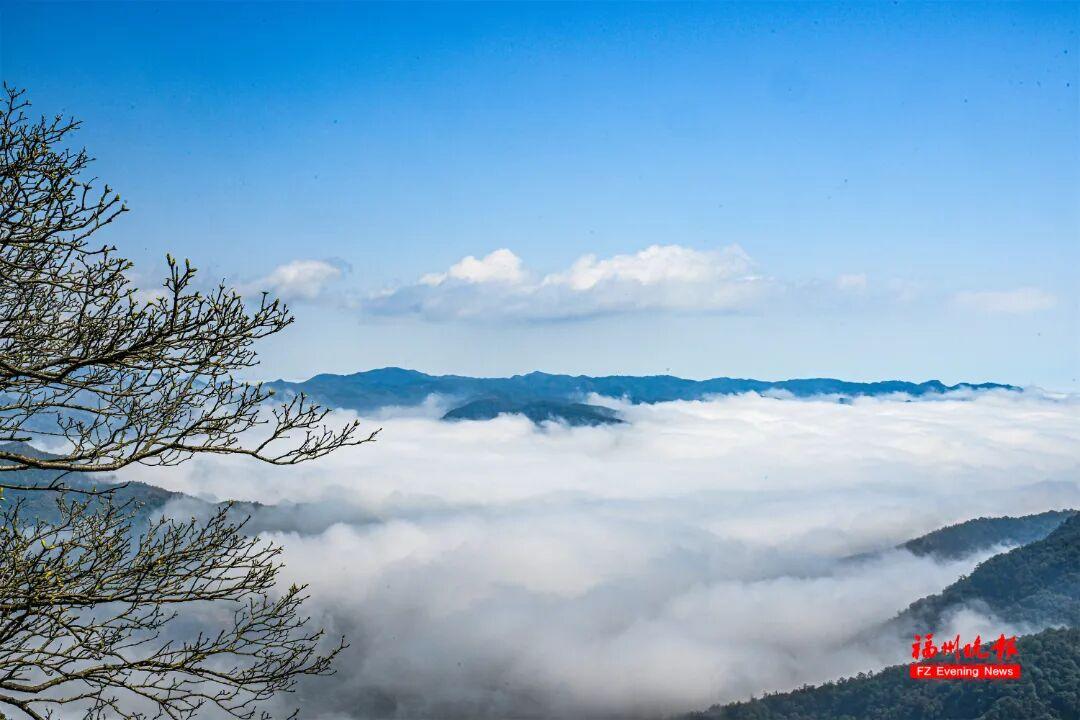 美出天际！鼓岭云海惊艳上线