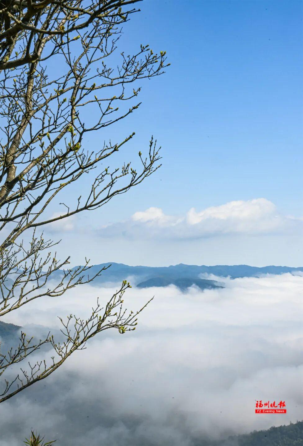 美出天际！鼓岭云海惊艳上线