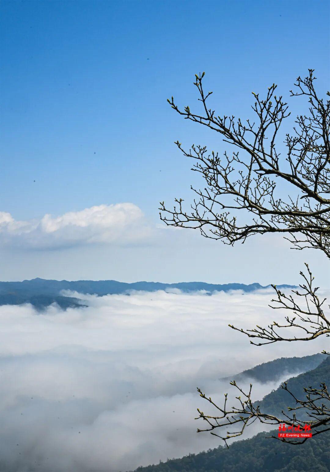 美出天际！鼓岭云海惊艳上线