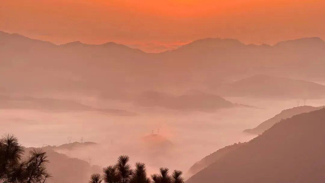 美出天际！鼓岭云海惊艳上线
