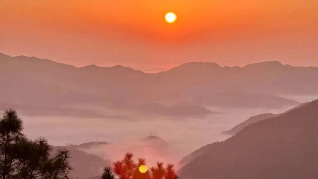 美出天际！鼓岭云海惊艳上线