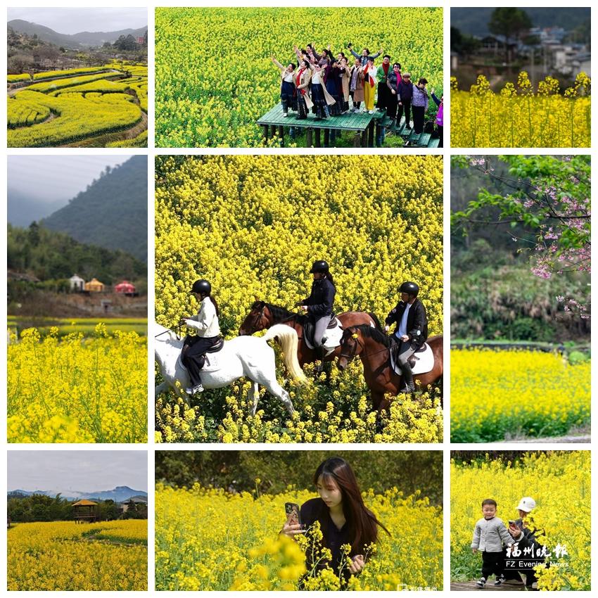 “Color Walk”突然爆火!用N种颜色打开福州的春天 “Color Walk”突然爆火!用N种颜色打开福州的春天