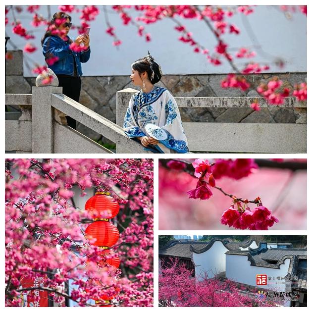 “Color Walk”突然爆火!用N种颜色打开福州的春天 “Color Walk”突然爆火!用N种颜色打开福州的春天