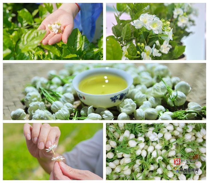 “Color Walk”突然爆火!用N种颜色打开福州的春天 “Color Walk”突然爆火!用N种颜色打开福州的春天