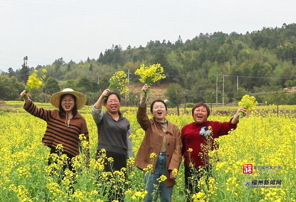 县在发生｜罗源这片金色花海，藏着“一田双收”的致富密码！