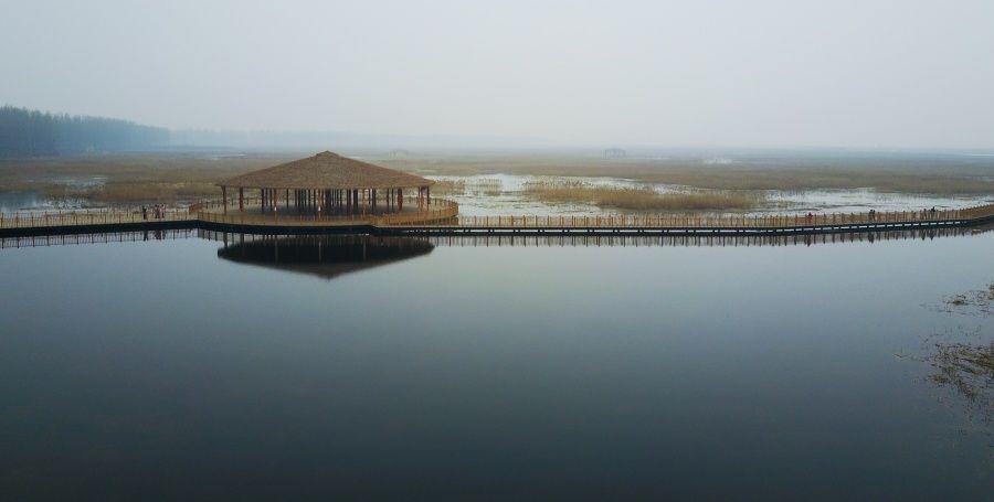习近平总书记引领雄安新区高质量建设和发展的故事