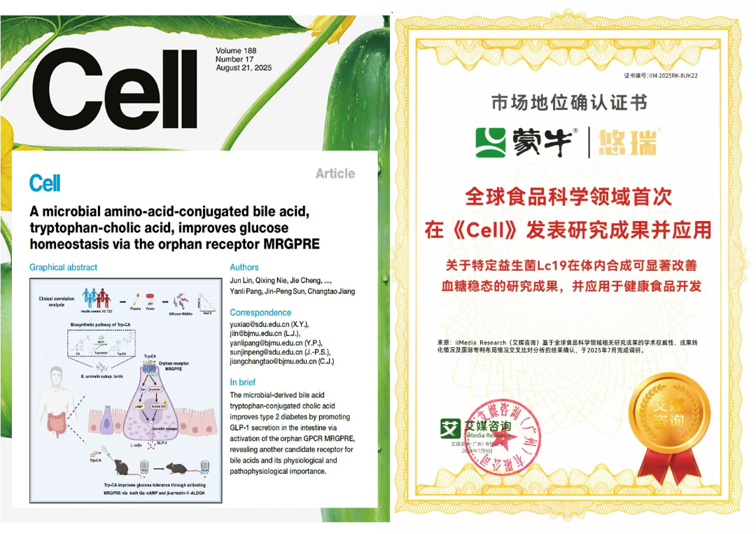 蒙牛2025年财报：经营现金流等指标创新高 多品类双位数增长