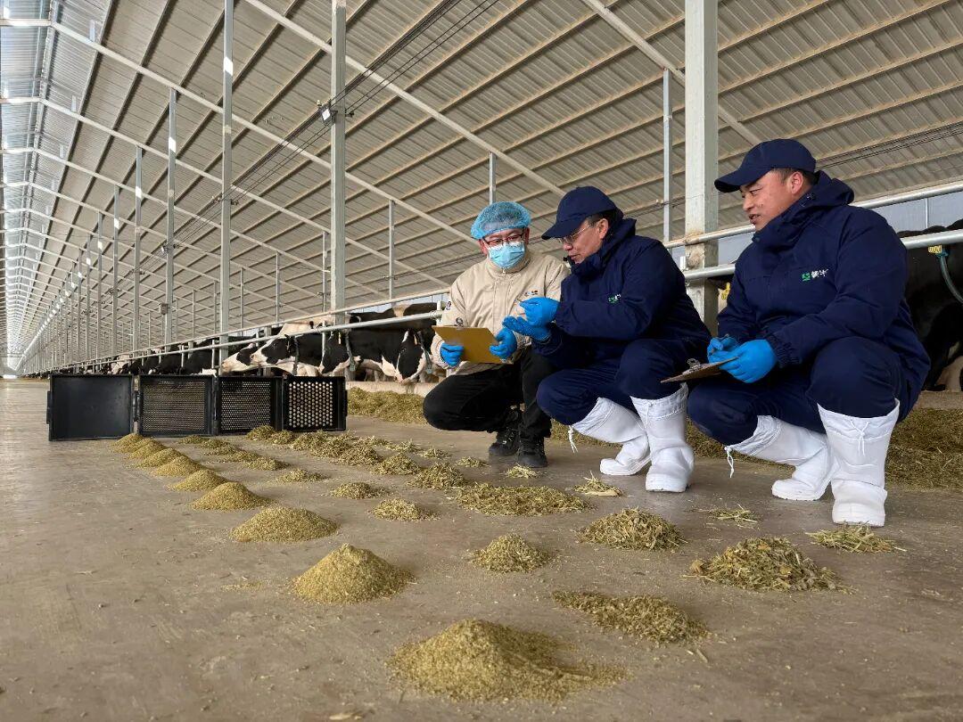 蒙牛2025年财报：经营现金流等指标创新高 多品类双位数增长