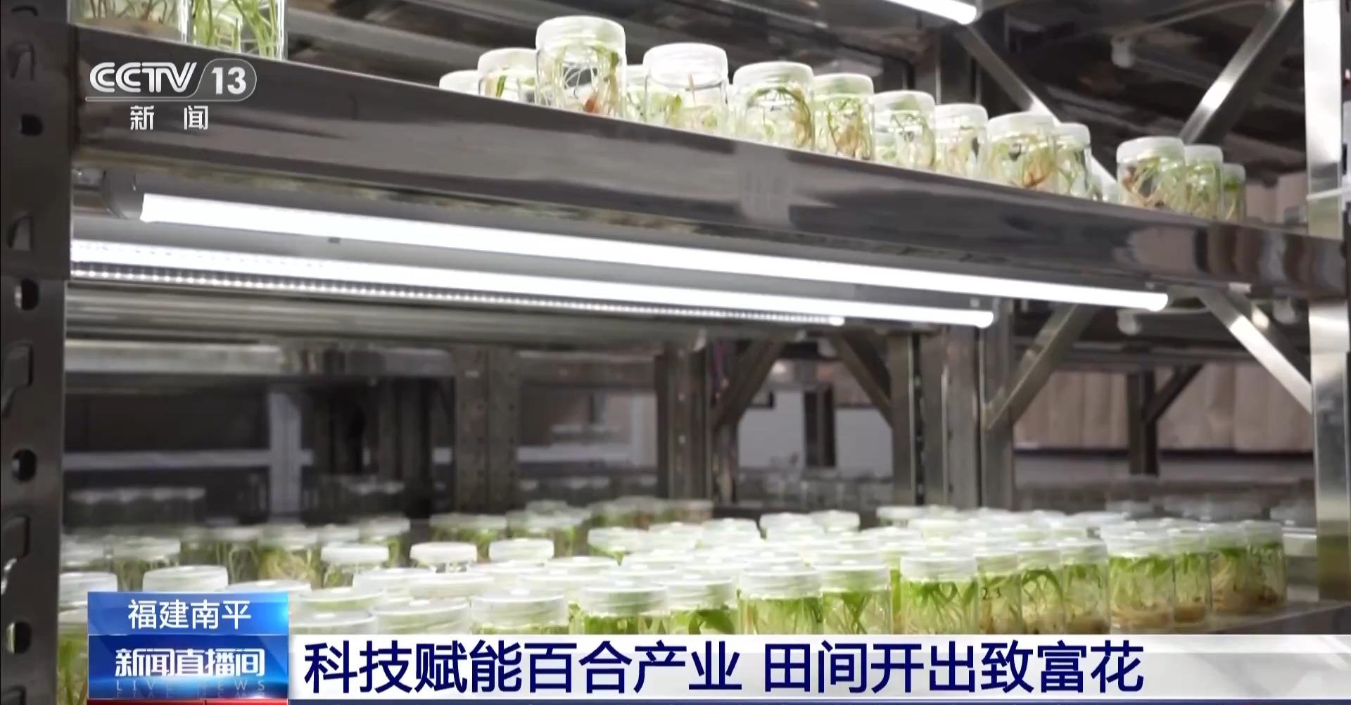 央视关注福州：春天为什么黄色的花先开？四种色素解锁“花色密码”