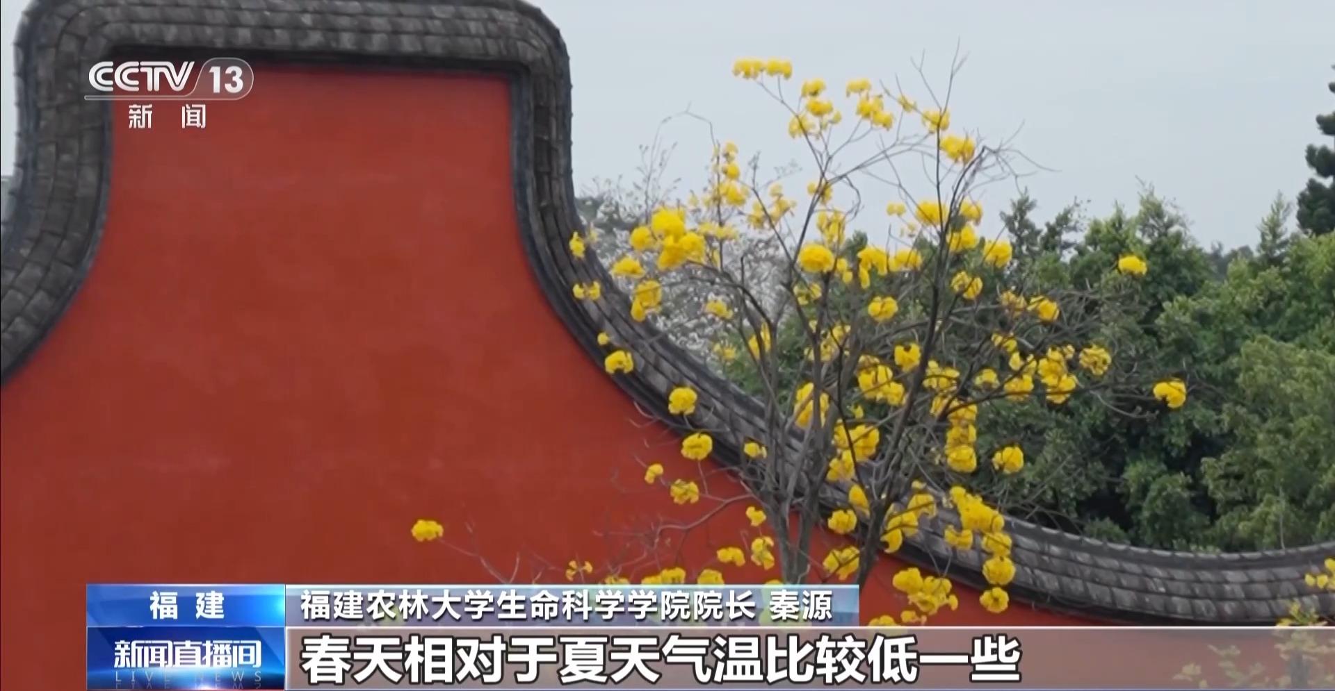 央视关注福州：春天为什么黄色的花先开？四种色素解锁“花色密码”