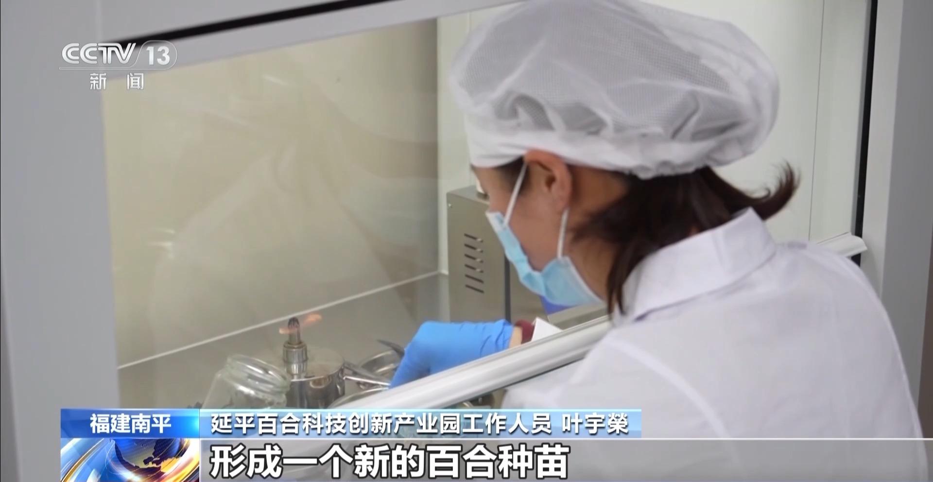 央视关注福州：春天为什么黄色的花先开？四种色素解锁“花色密码”