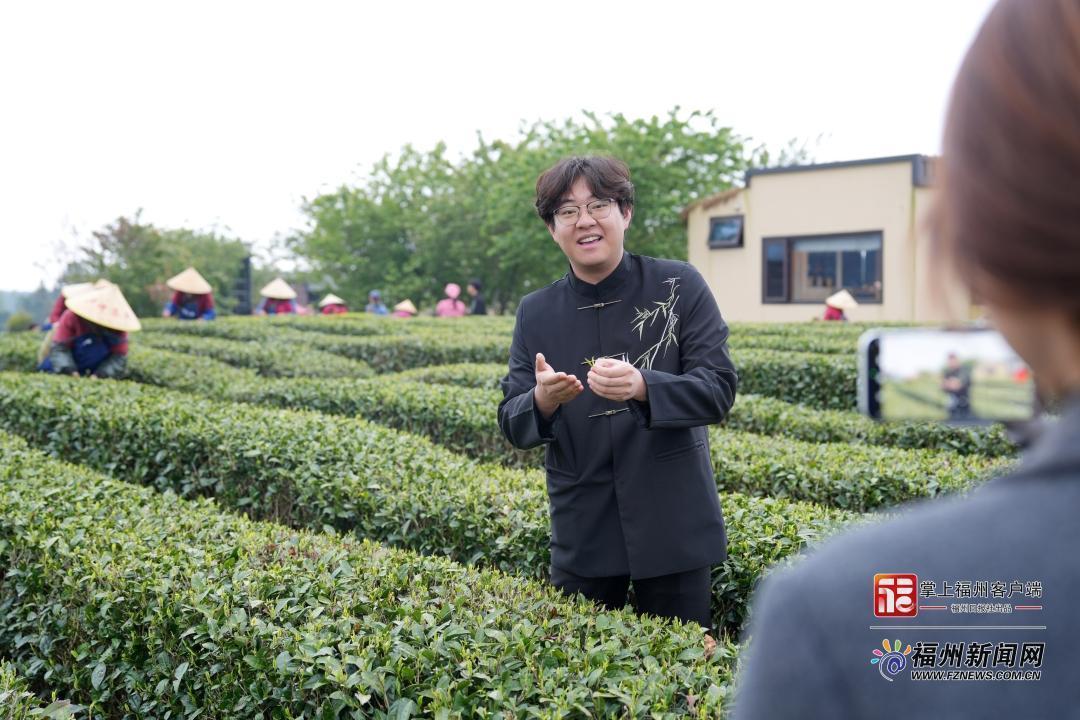 县在发生｜开茶喽！永泰这场春日茶事太热闹了