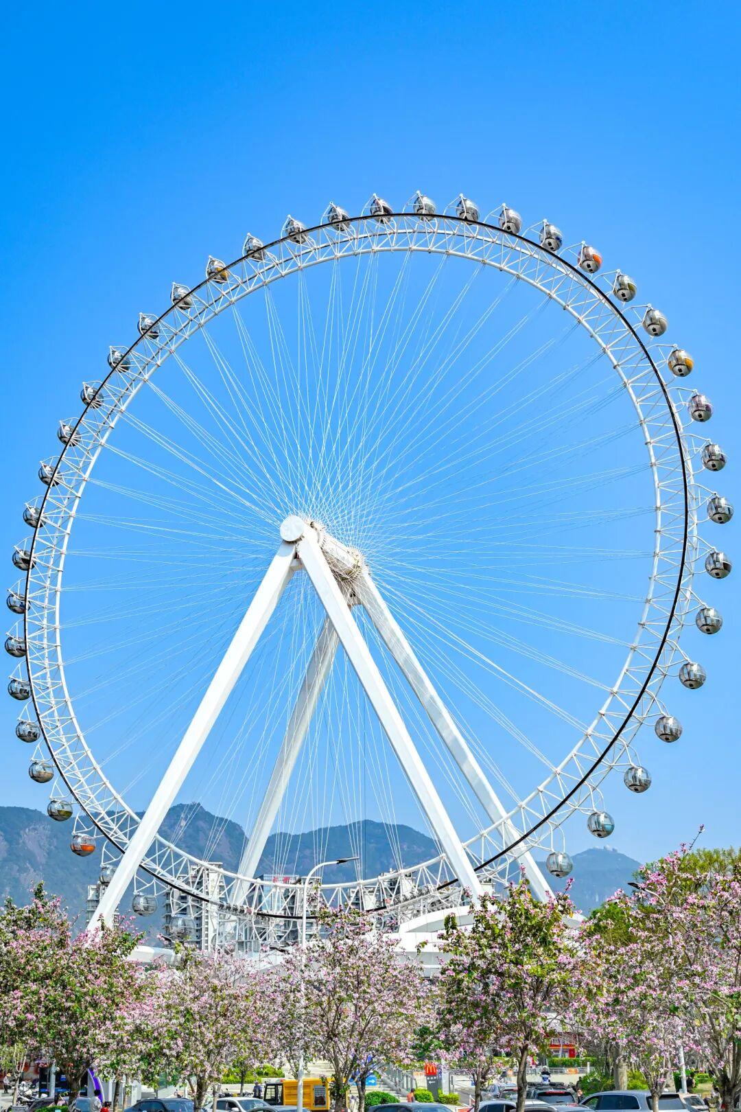 藏不住了!正成片绽放!就在晋安湖公园周边 藏不住了!正成片绽放!就在晋安湖公园周边