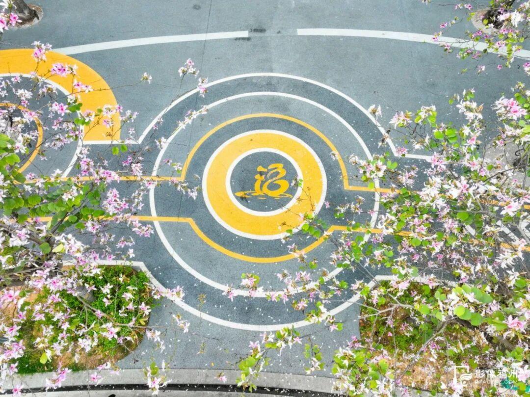 粉色限定！福州春日浪漫上新