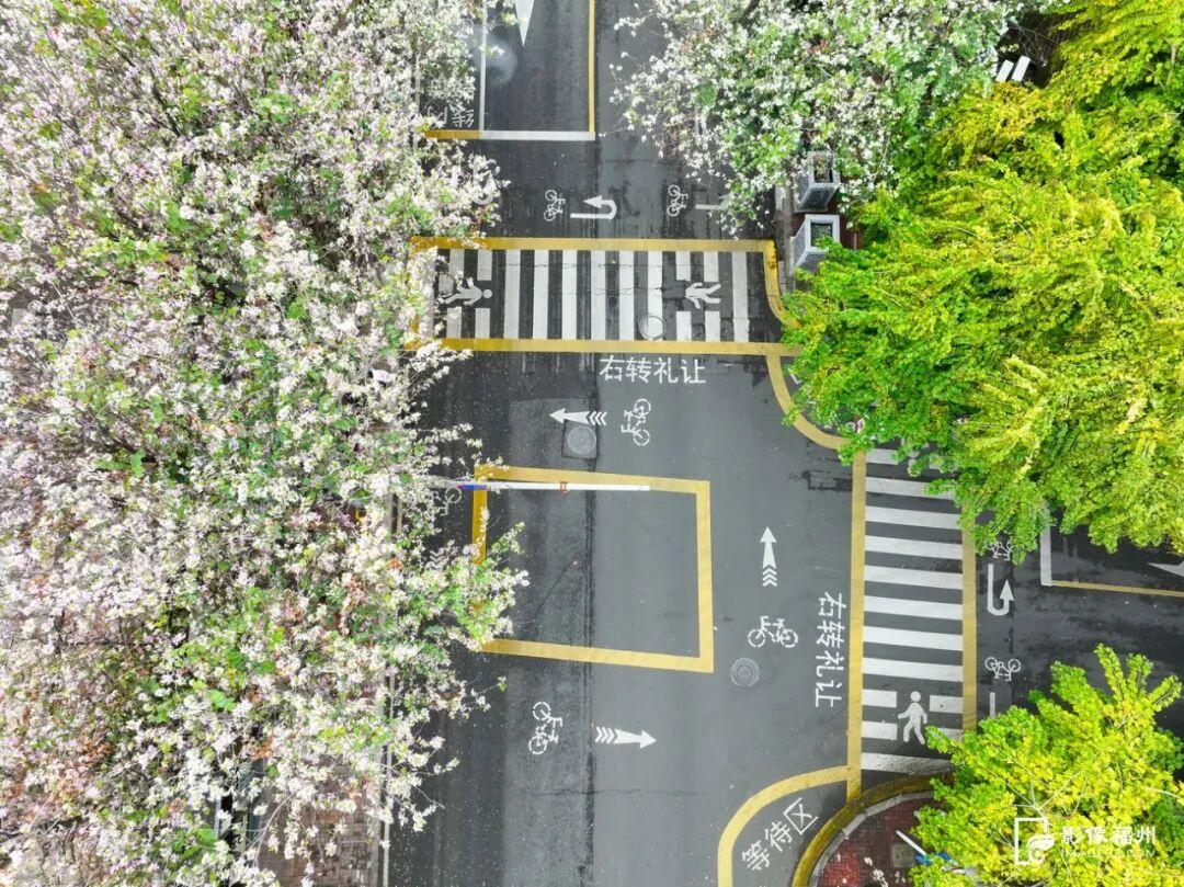 粉色限定！福州春日浪漫上新