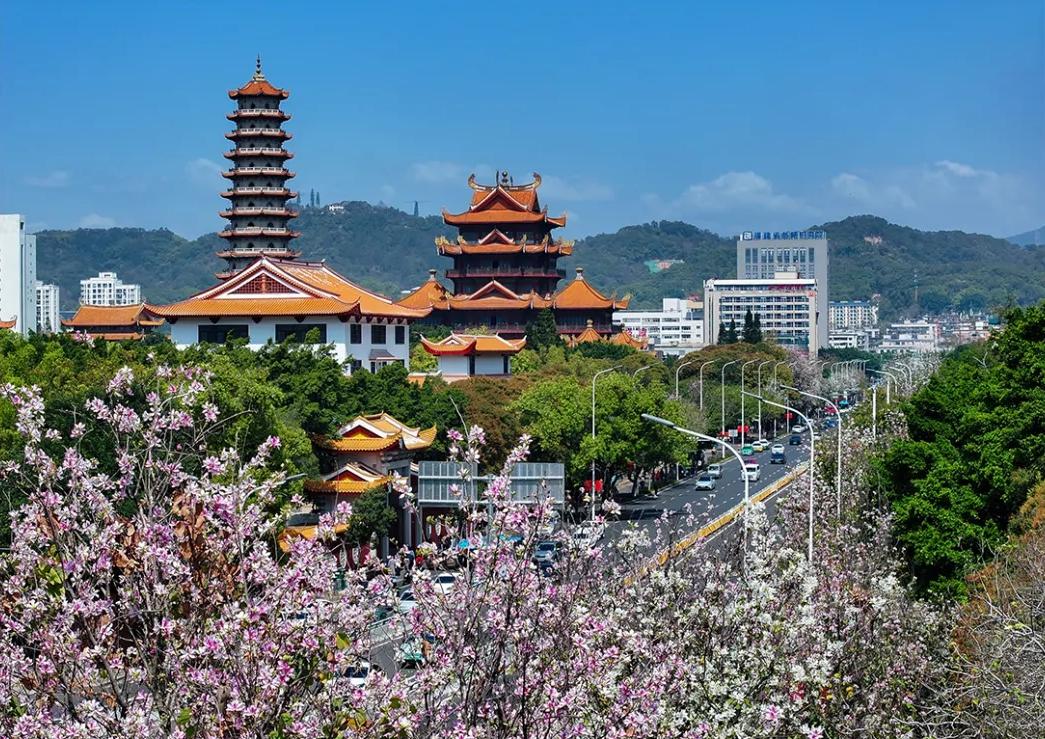 粉色限定！福州春日浪漫上新