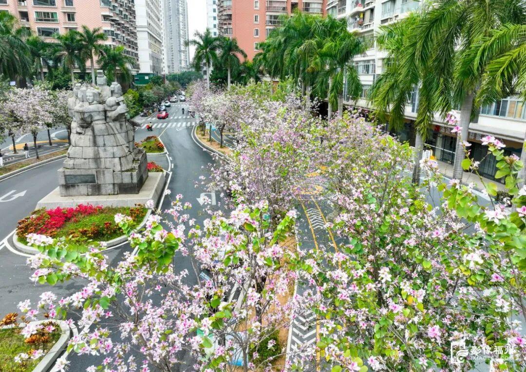 粉色限定！福州春日浪漫上新