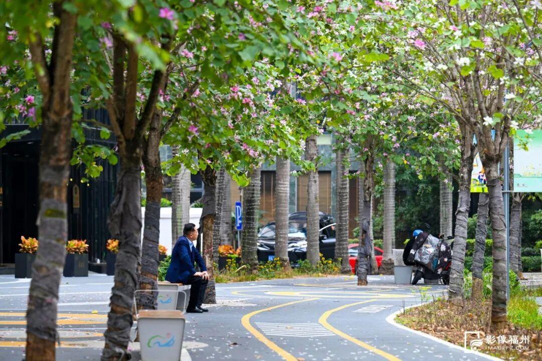 粉色限定！福州春日浪漫上新