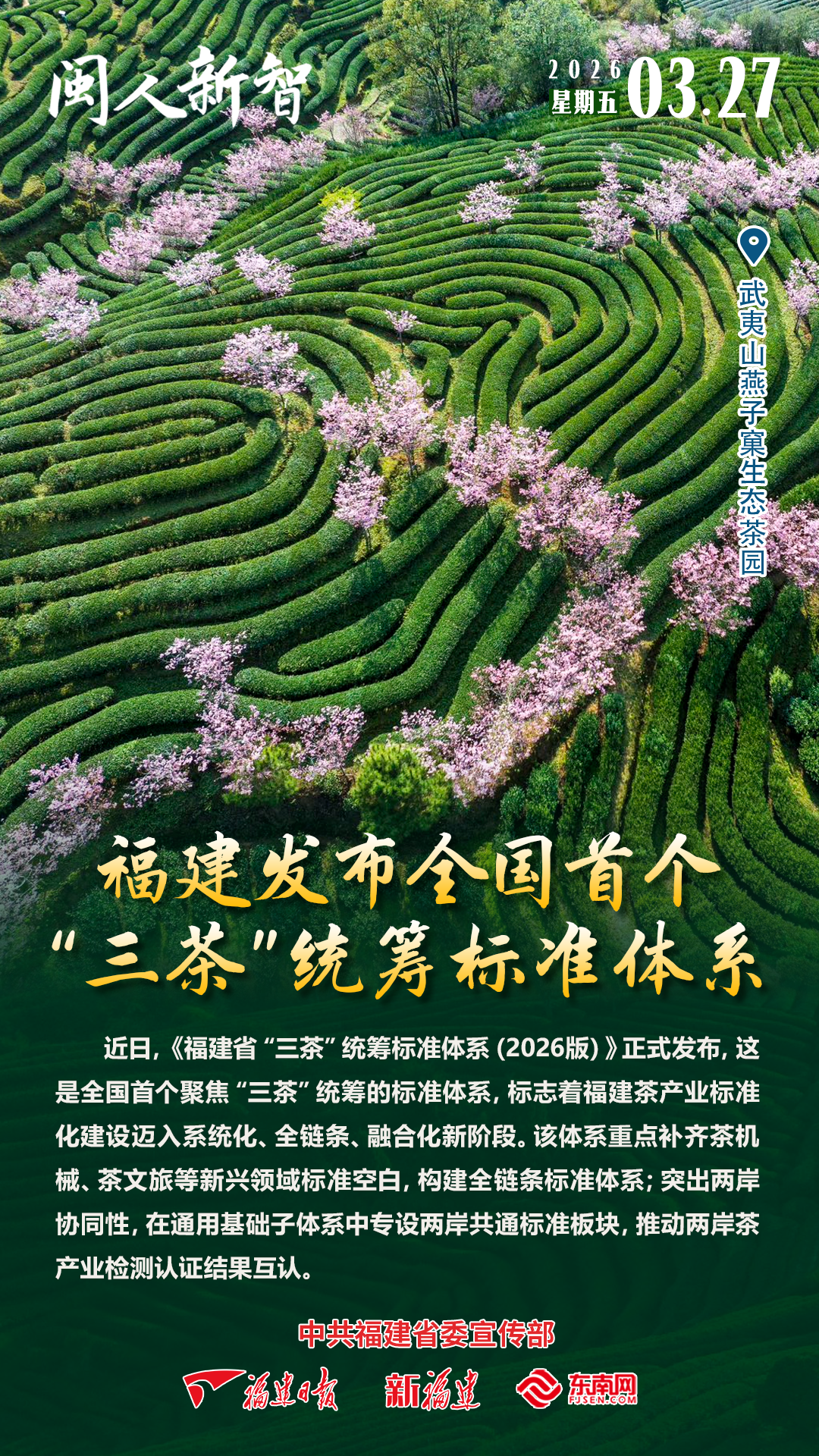 闽人新智 | 福建发布全国首个“三茶”统筹标准体系