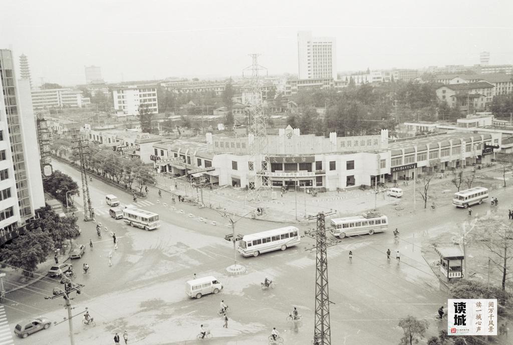 读城｜工业路上羊蹄甲 花开花落近“不惑”