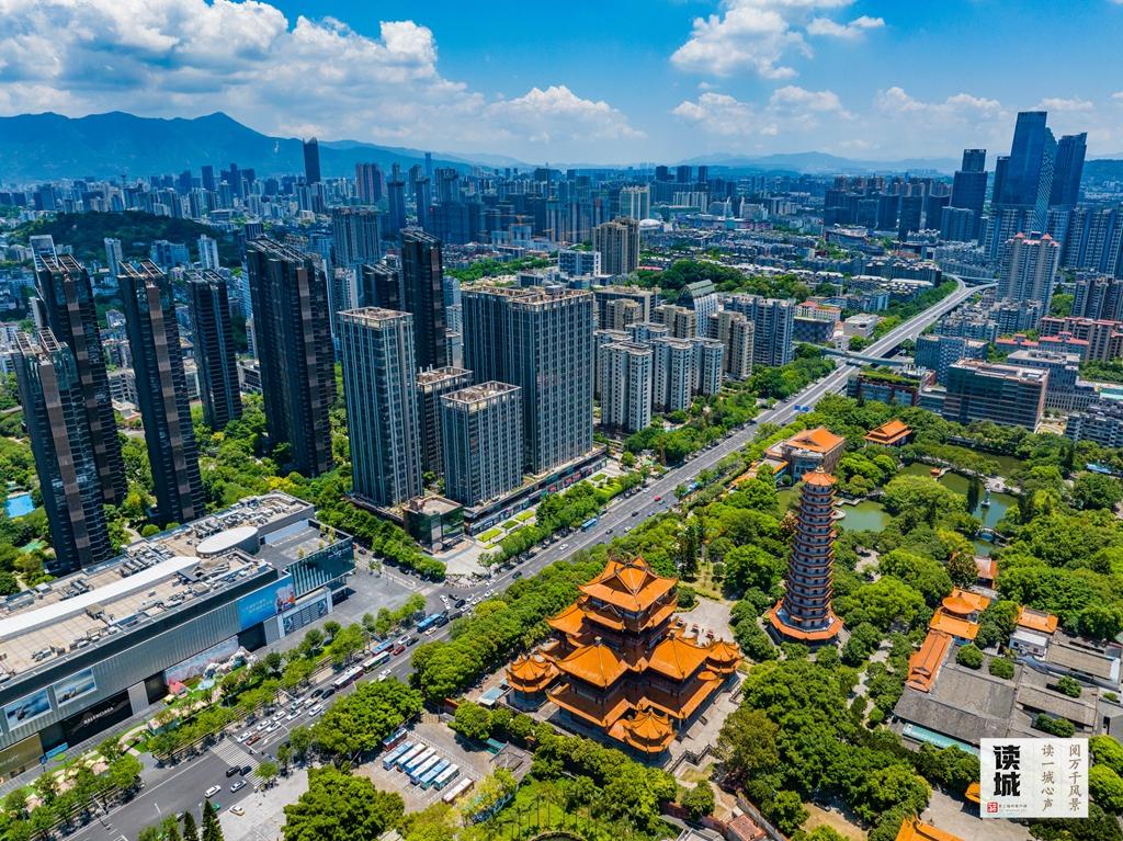 读城｜工业路上羊蹄甲 花开花落近“不惑”