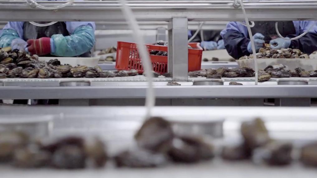 福州：耕海牧渔 掘金“海上粮仓”